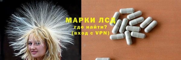 ГАЛЛЮЦИНОГЕННЫЕ ГРИБЫ Бородино