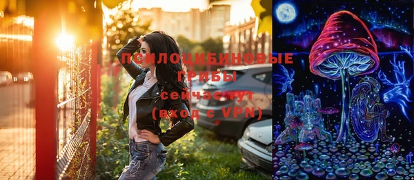ГАЛЛЮЦИНОГЕННЫЕ ГРИБЫ Бородино