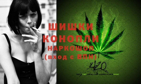 ГАЛЛЮЦИНОГЕННЫЕ ГРИБЫ Бородино