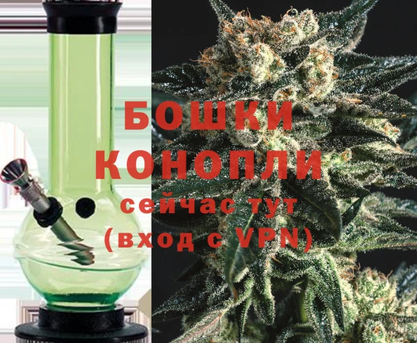 ГАЛЛЮЦИНОГЕННЫЕ ГРИБЫ Бородино