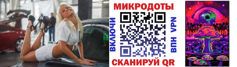 Купить где  Сретенск  Псилоцибиновые грибы Psilocybe 
